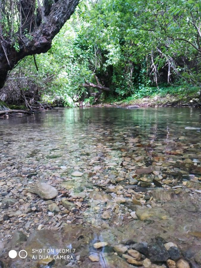 Alojamientos Sierra De Cadiz Benamahoma Exteriér fotografie